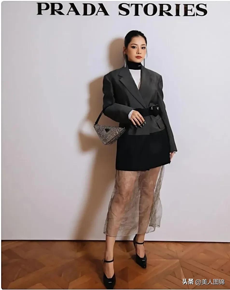 越南芝芙,芝芙越南