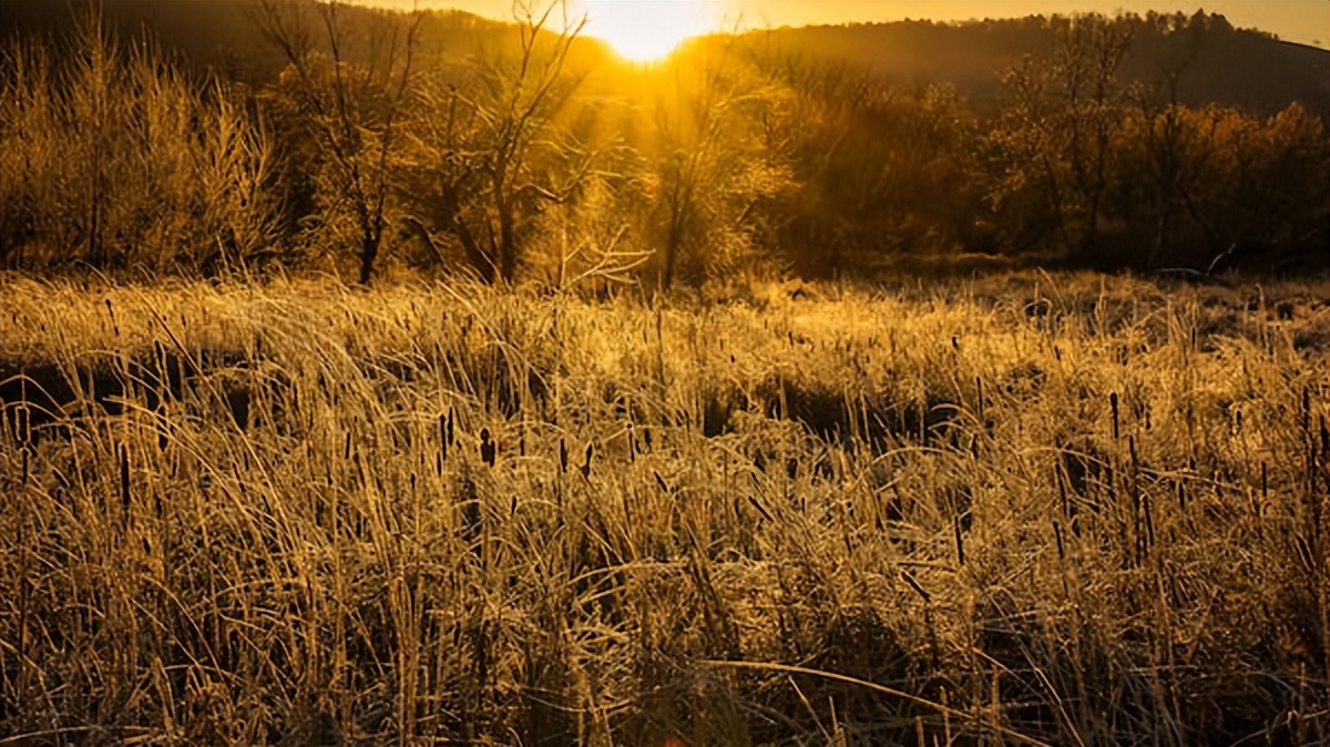 好文分享经典短文朗读,好文分享推荐经典