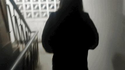 找到那只猫 (睡不着的坏猫)