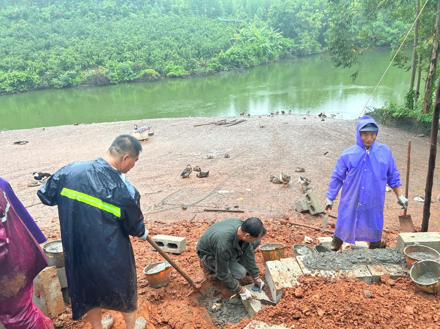 重修应苗公祖墓实录（下）——披荆斩棘凭实干，齐心协力功告成