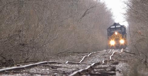 君子莫愁：2023读书只是为了赚钱后，美国俄亥俄爆了！