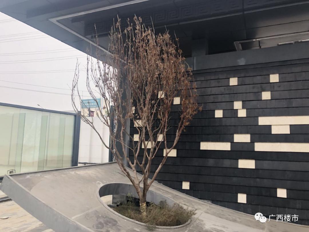 玉林一哥全部视频,正宗玉林一哥