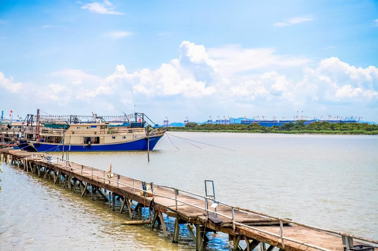 广州沿海吃海鲜的地方,广东吃海鲜最好的地方