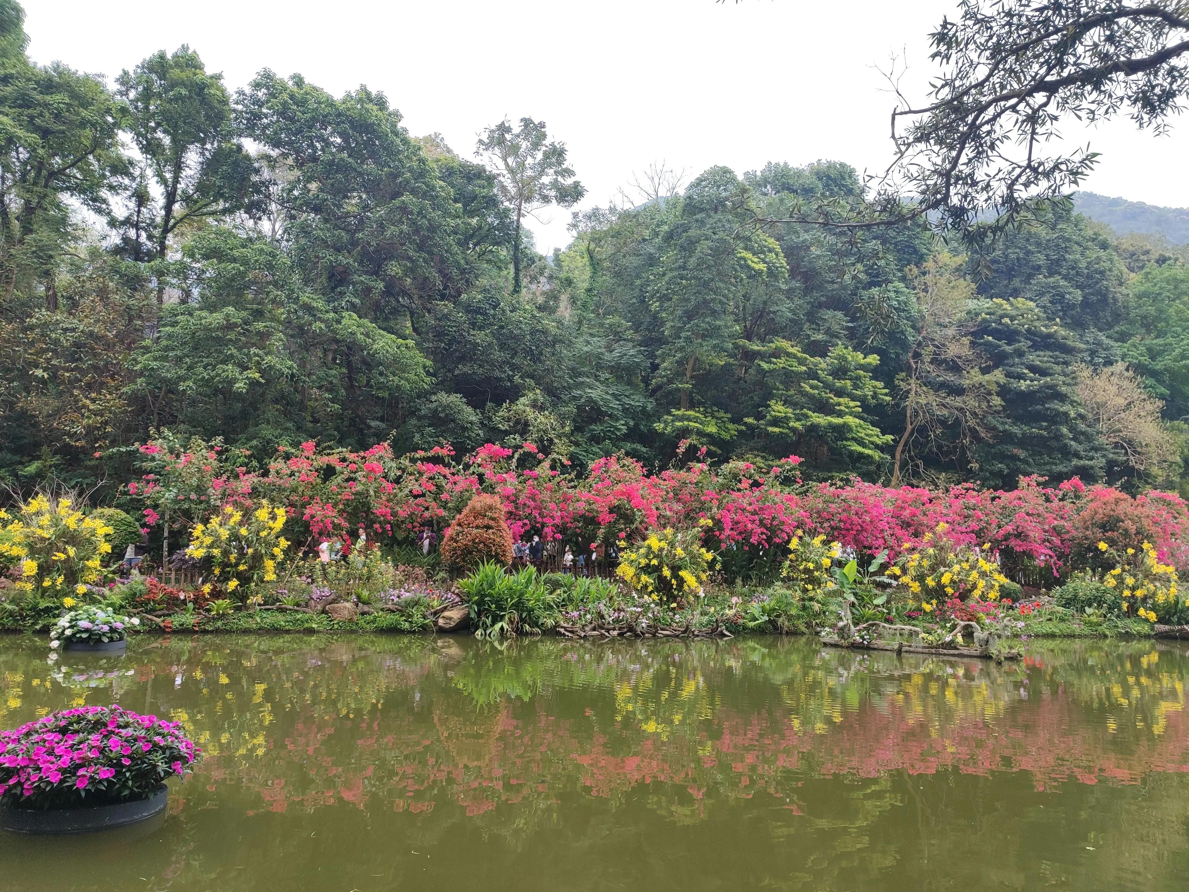 辟谷修仙记第6部：我对自己多狠呀！左一刀右一刀的砍自己