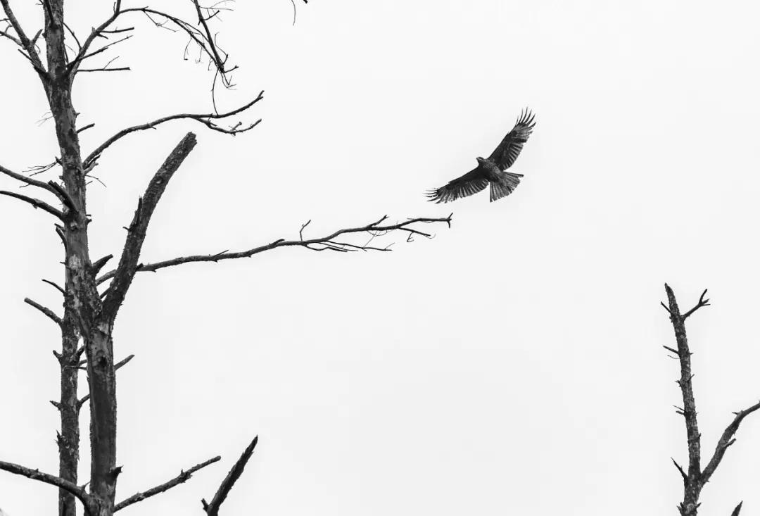 从化区宜居环境,广州市从化区绿色家园