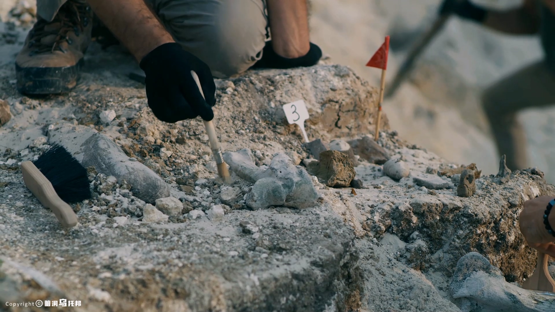 台湾杀妻案真相,童言无忌杀妻案