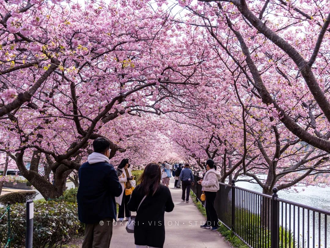 伊豆半岛两日游攻略,日本伊豆跟团旅游攻略