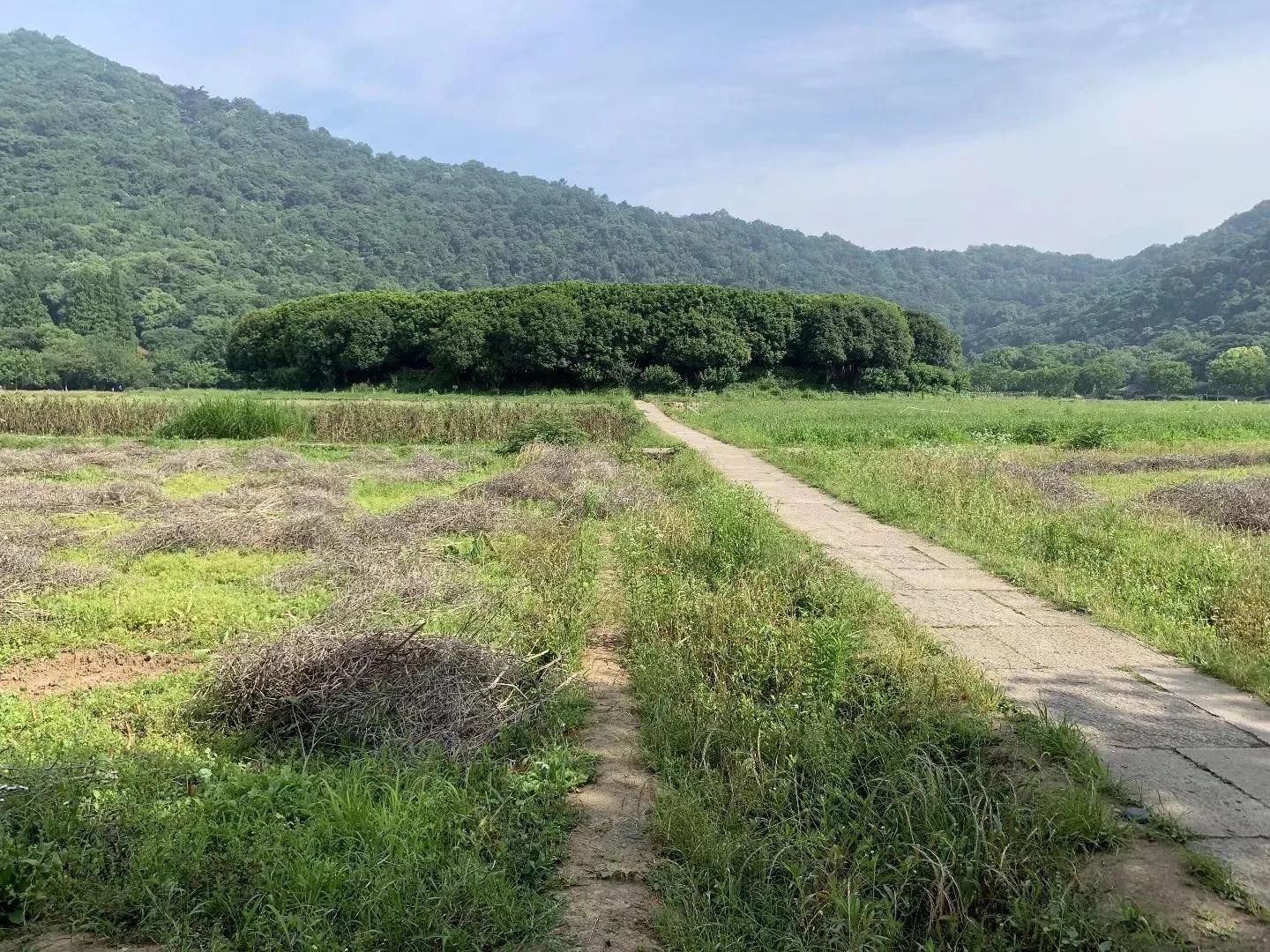 杭州八卦田遗址规划,杭州八卦田遗址公园有什么可以玩