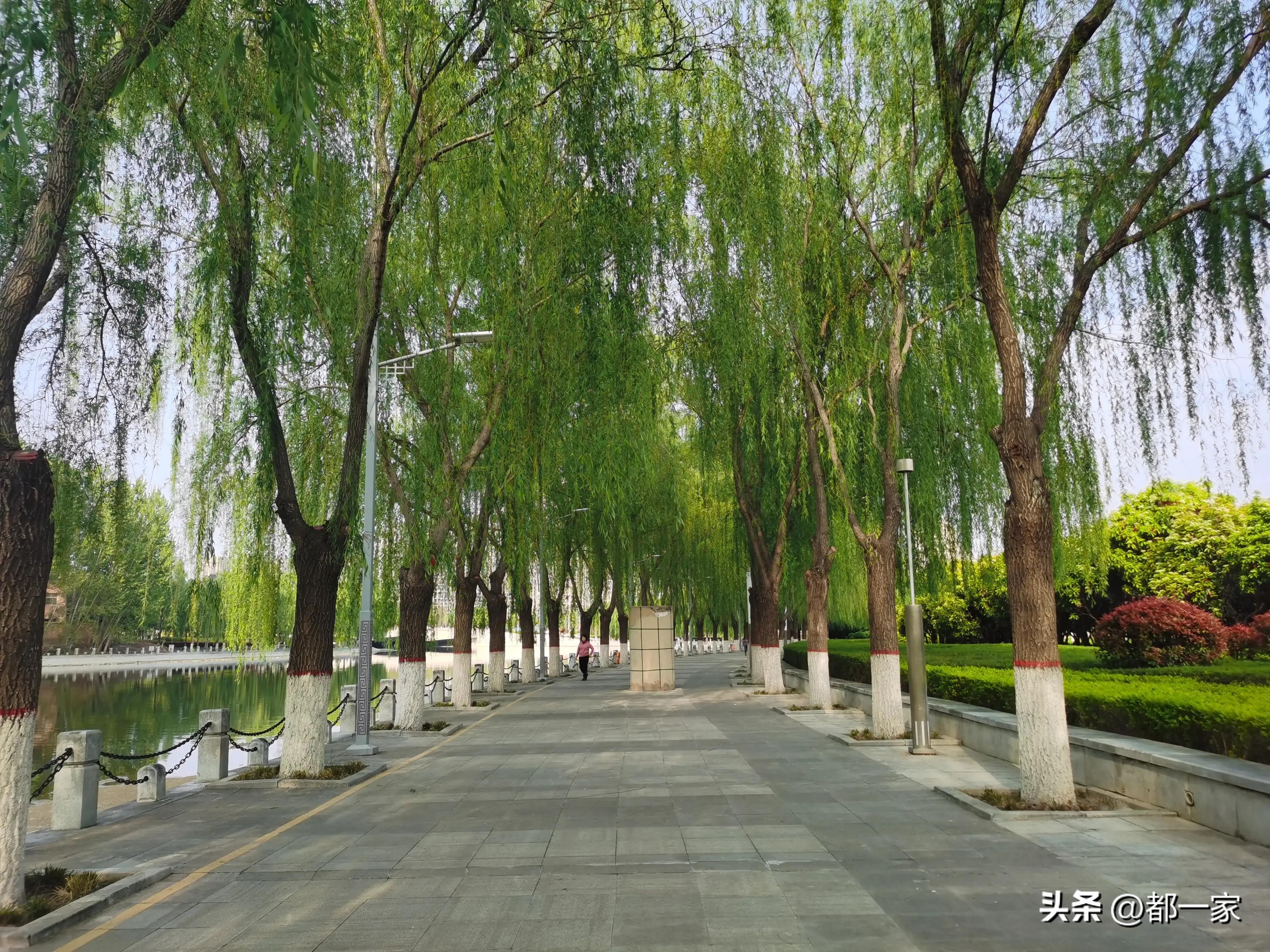 郑州须水河湿地公园,郑州索河湿地公园网红打卡地