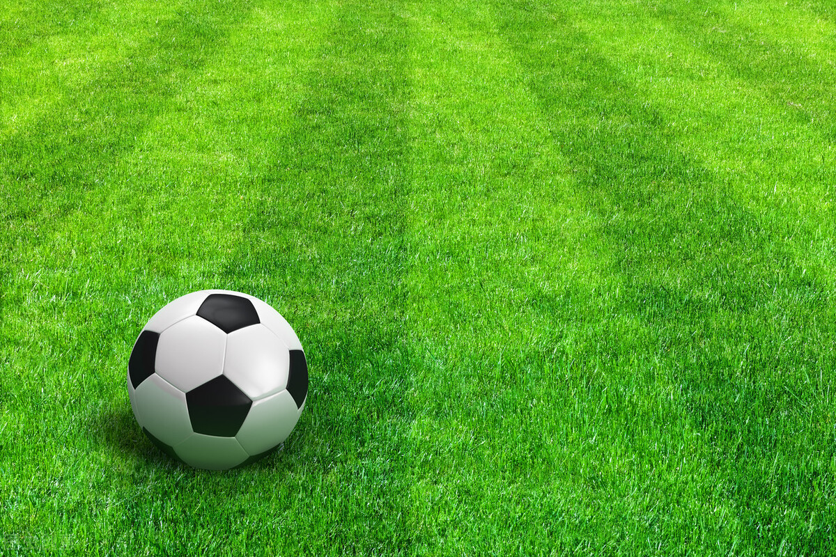 足球场的看台是什么,看台足球场