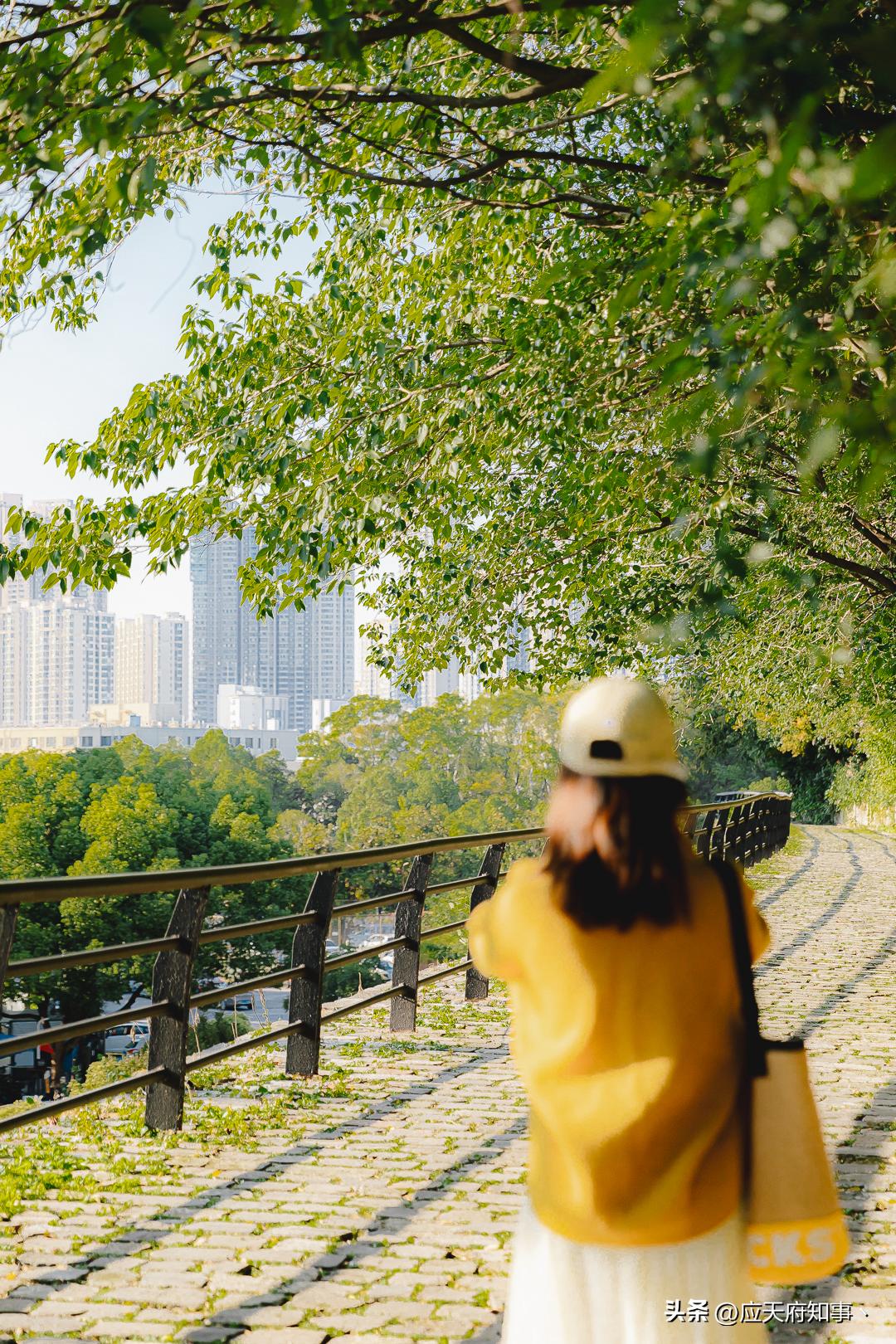 南京再回来是绿码吗,南京站到察哈尔路公交车