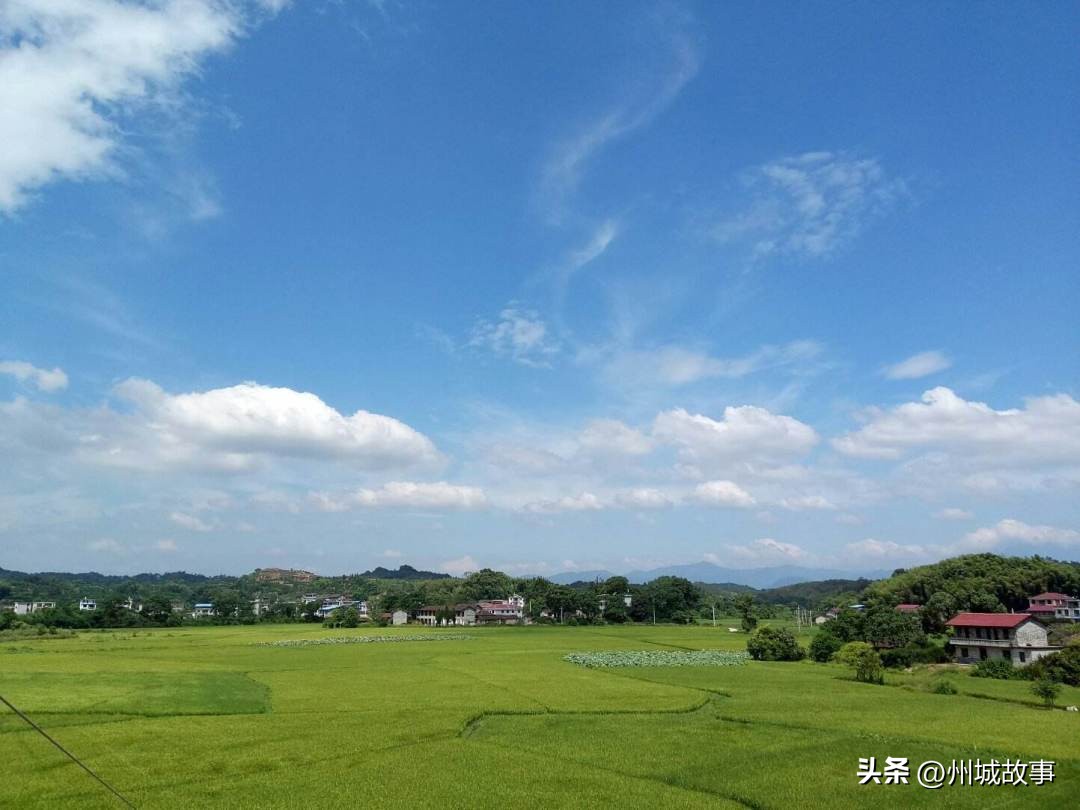 红五军团走出的部队,从鄂豫皖走出的红军主力部队