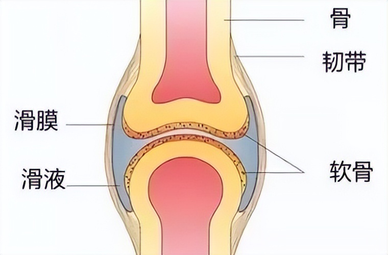 膝关节老化多大开始,膝关节问题发现越早越好