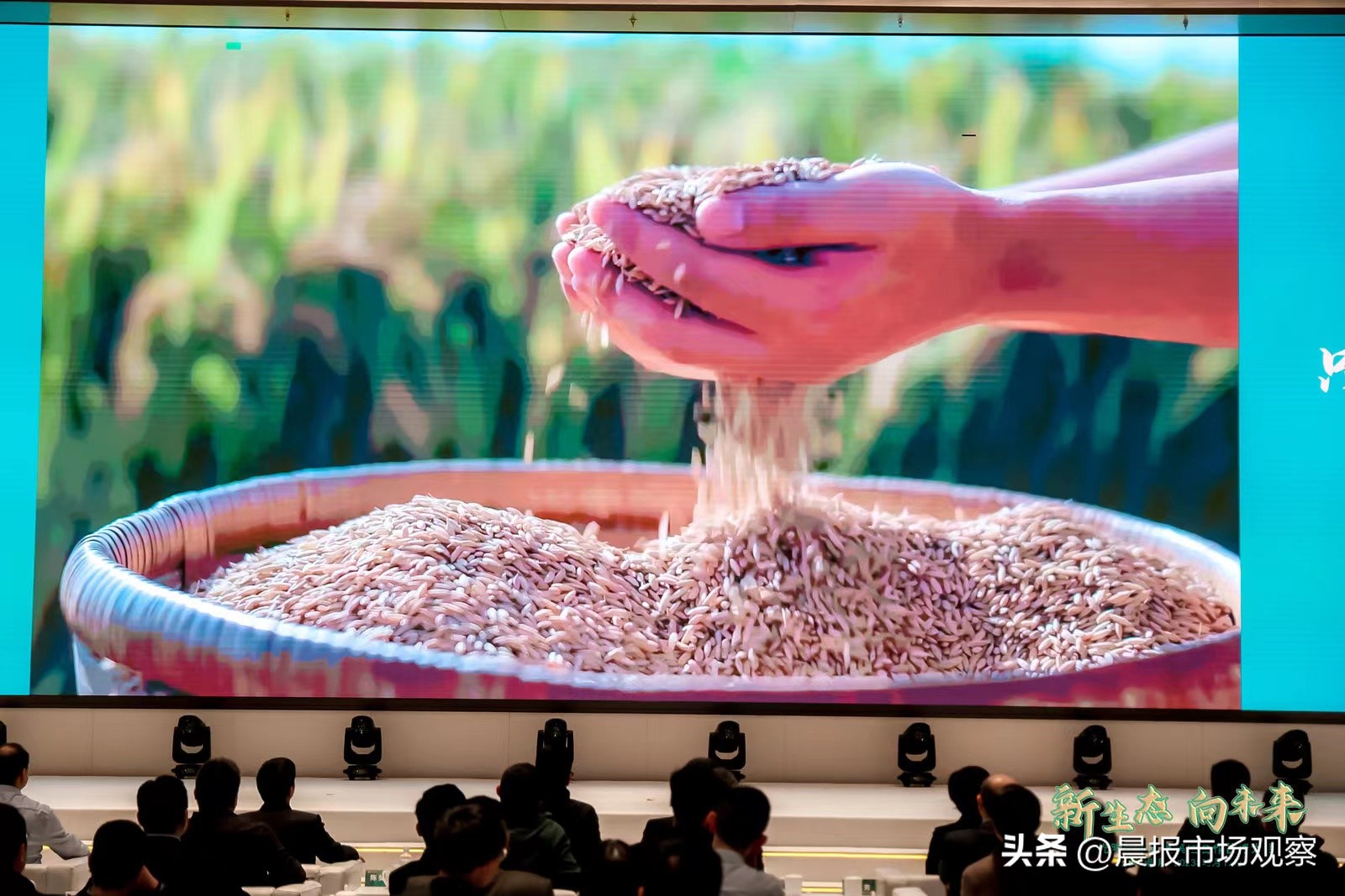 光明谷锦优质大米,光明谷锦崇明大米