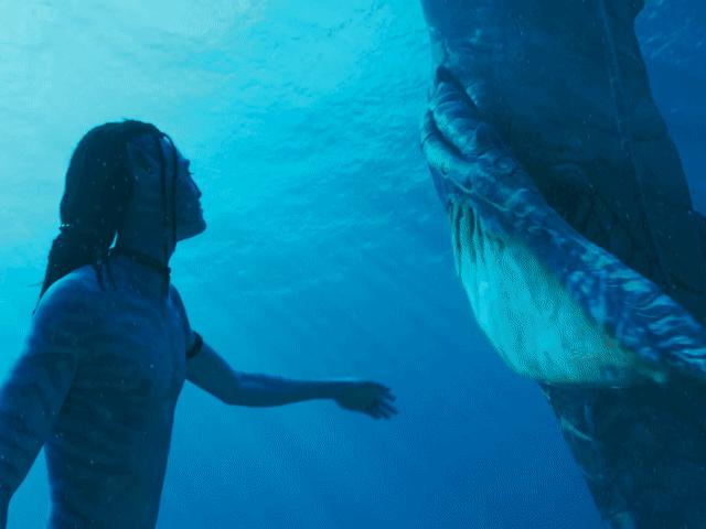 阿凡达2是赚了还是赔了,阿凡达二回顾