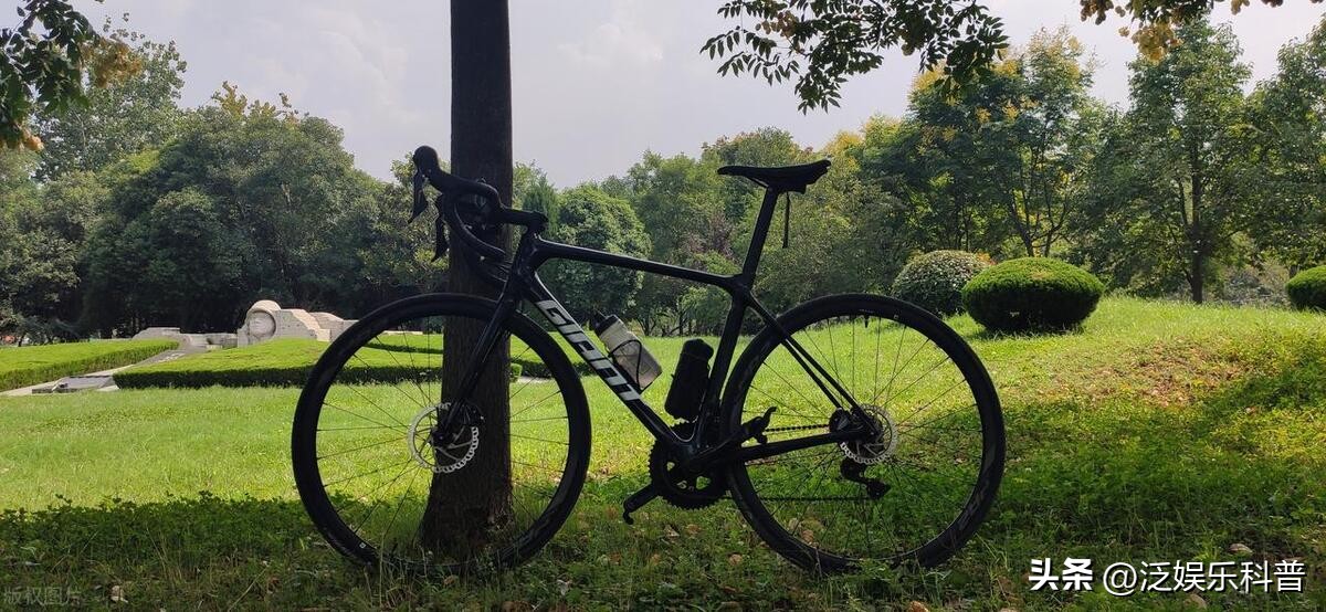 全世界十大知名自行车品牌排行图,当下哪个牌子的自行车最好