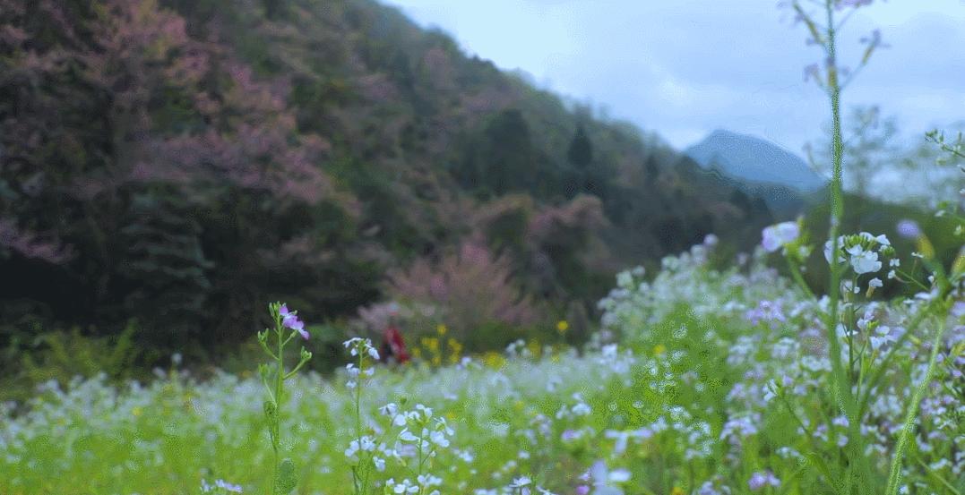 上巳节古老而有诗意的三月三,人间最美三月三