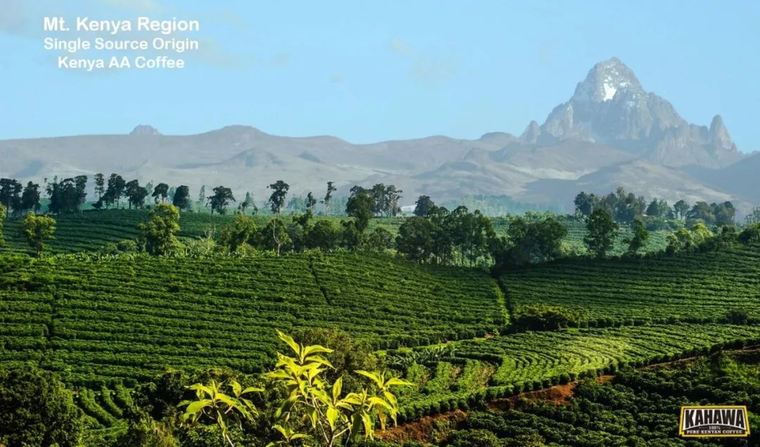 肯尼亚人祖先的迁徙路线,肯尼亚是人类发源地之一么