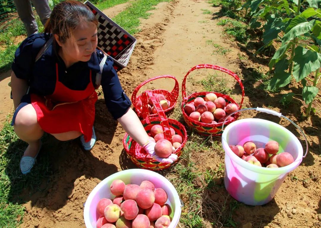 石牛景区旅游攻略图片,旅游四川好玩的景点