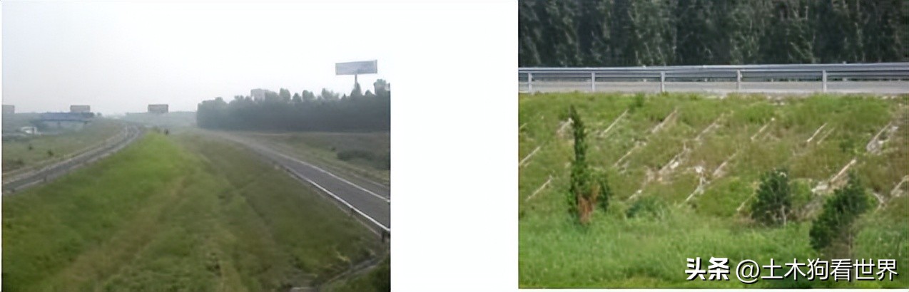 沈海高速姜山至新屋段扩建,沈海高速两城至汾水段新建收费站