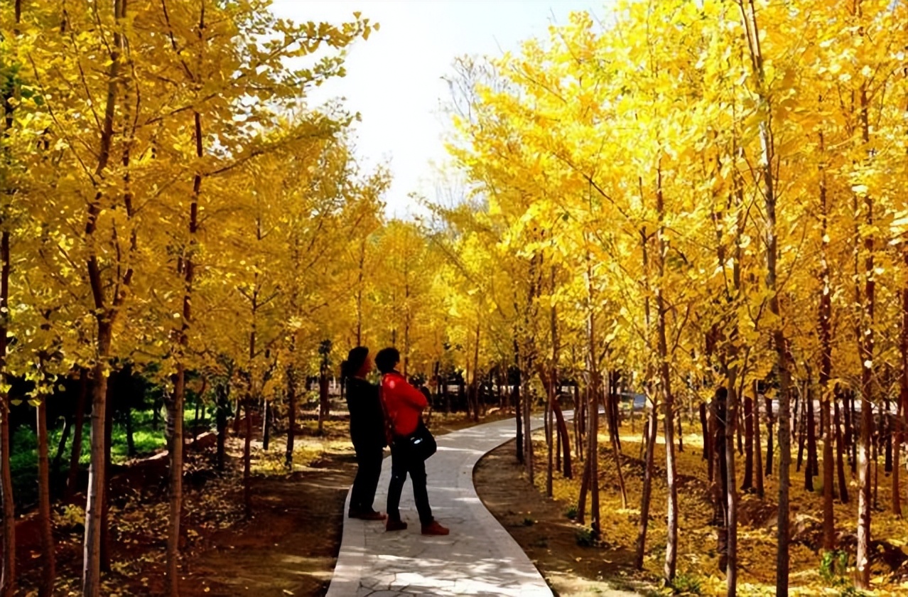 什么？兰州是当之无愧的一线城市！开玩笑呢吧！