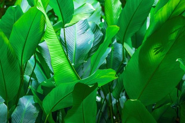 小学英语单词打卡外研版,小学英语单词打卡复习