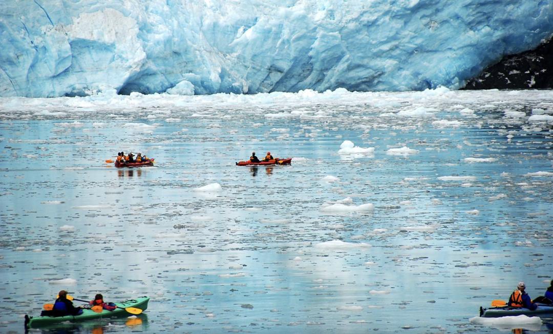 温哥华游轮应该怎么选？皇家荷美迪士尼公主号…一文都给你说清