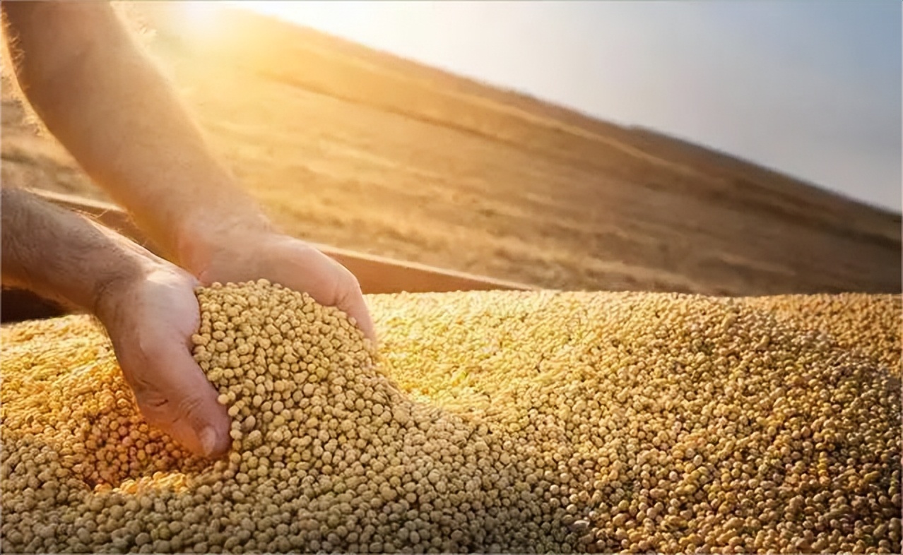 缇庡浗鍥涘ぇ绮晢鐨勭伯椋熸垬,涓編绮鎴樹腑鍌ㄧ伯vs鍥涘ぇ绮晢
