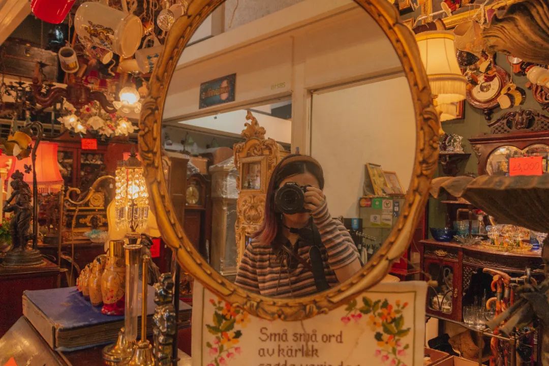 鍘绘嘲鍥芥浖璋峰拰鑺彁闆呯殑鏀荤暐,鍘绘嘲鍥界帺杞浖璋疯姯鎻愰泤