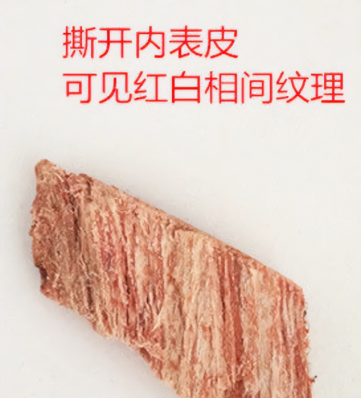 土荆皮显微鉴别图片,什么代替土荆皮