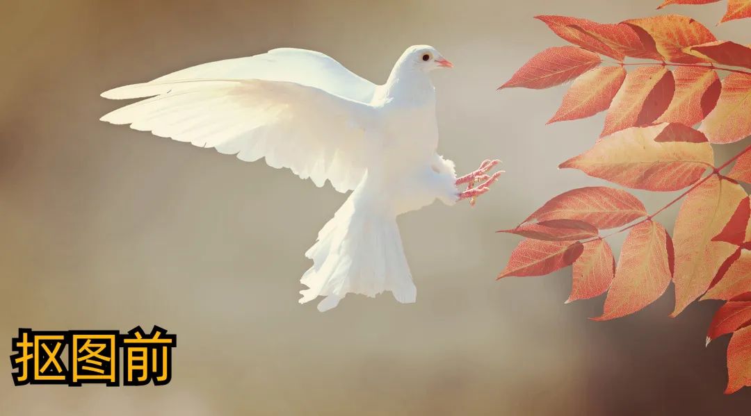 超好用的抠图神器一键抠图超方便,超火的抠图软件一键抠图简单易学