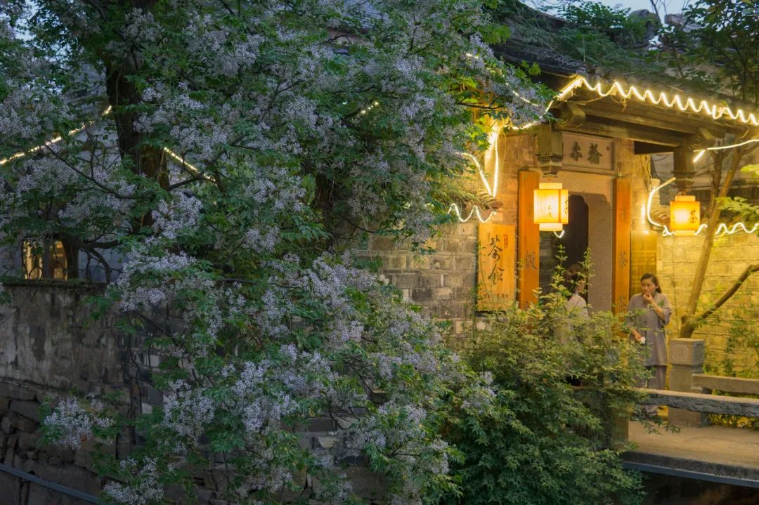 苏州一个新的人间天堂,东方威尼斯苏州视频