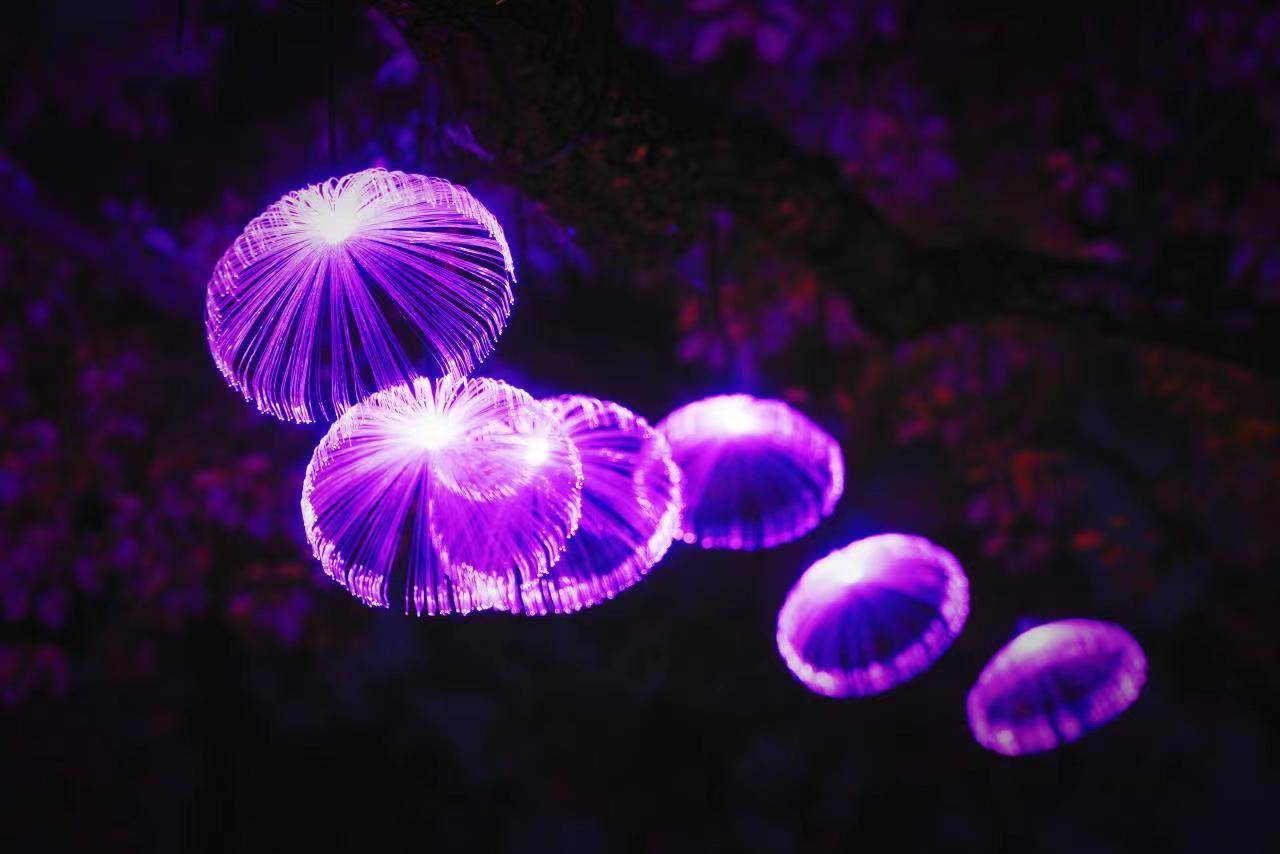 武汉东湖奇妙灯会,东湖灯会游玩攻略