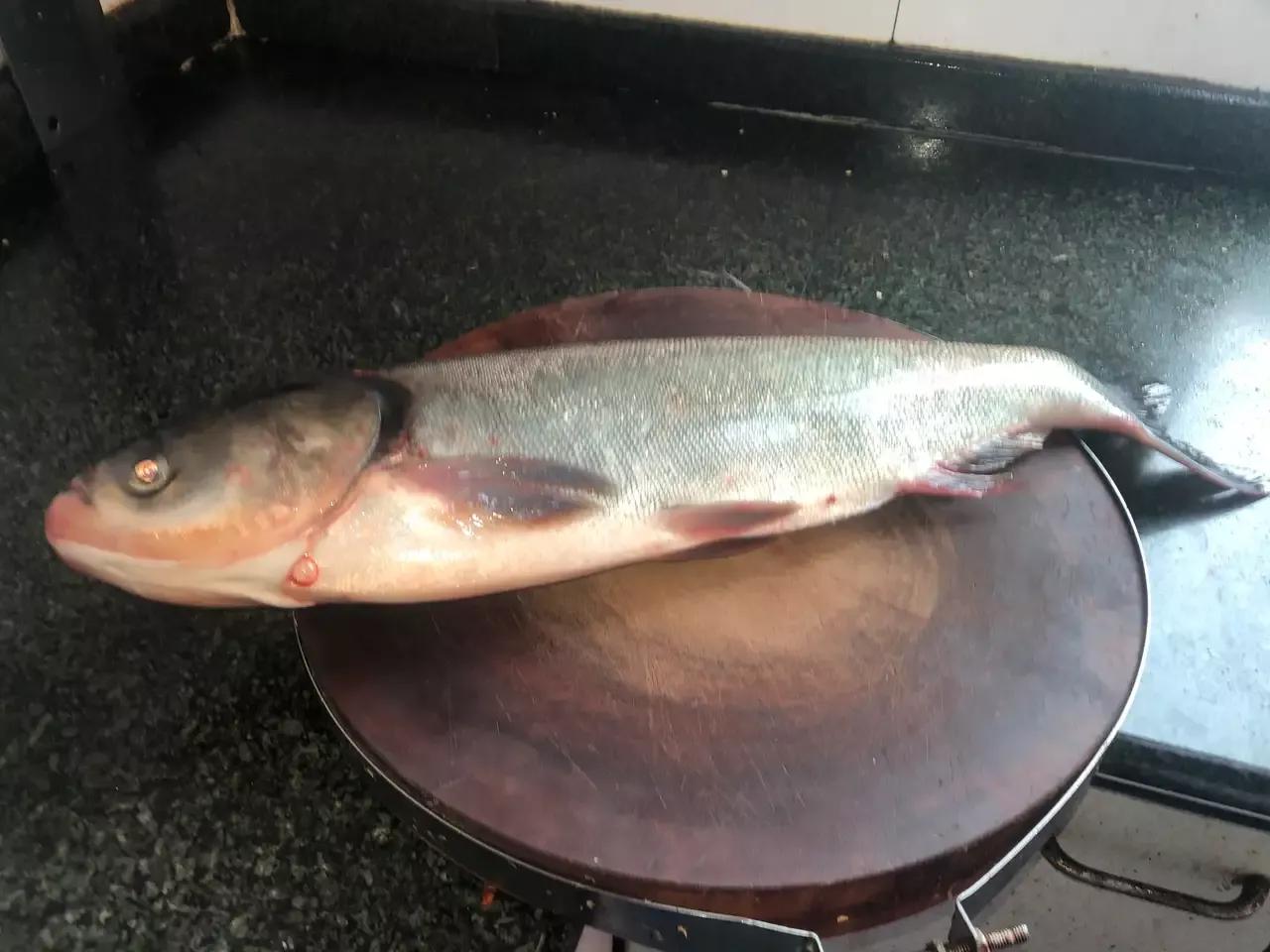 重庆美食一条街,重庆美食吃货主播