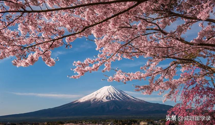 去日本读研怎么申请学校,去日本读研的条件费用
