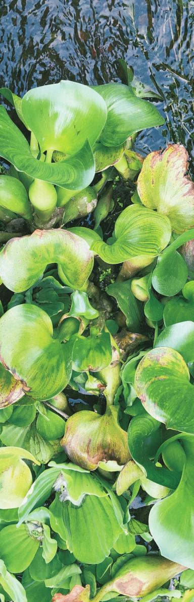 木兰风光好去处•达人带你去旅游|山环水绕清流如带——张洋村，一个藏在新县里的小村庄