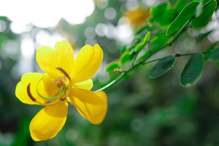 佳能16-35mm2.8f镜头一代评测,佳能rf15-35f2.8镜头值不值得买