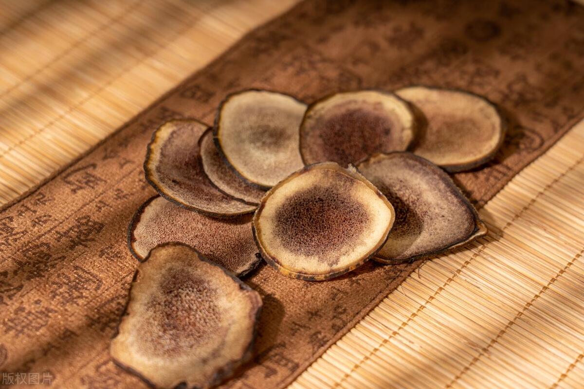 鹿茸补阳药,鹿茸补肾健脾补品