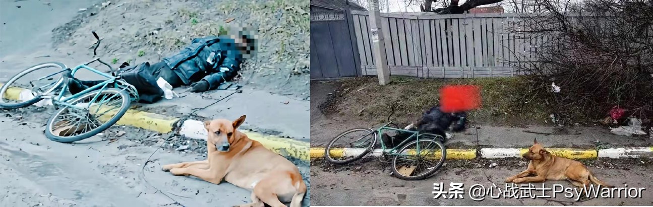 随意栽赃嫁祸别人犯了什么罪,栽赃嫁祸罪