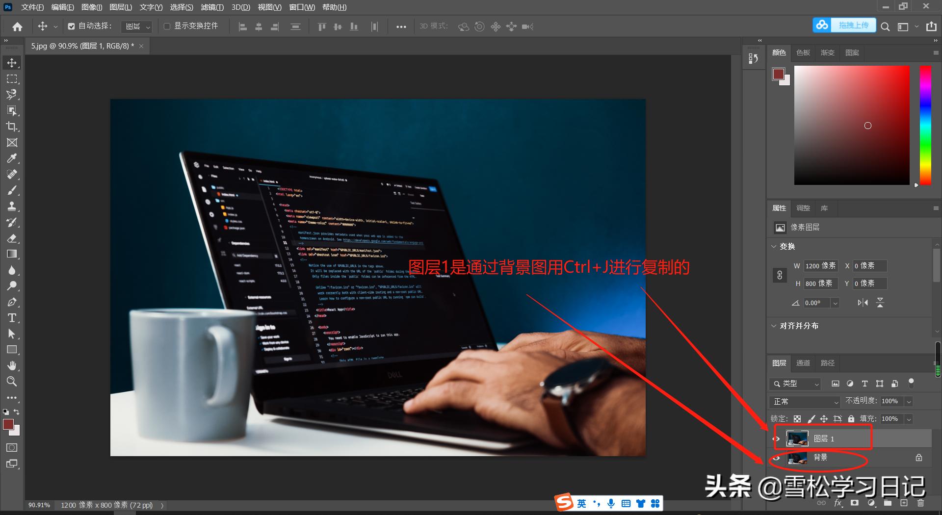 ps图层入门教程零基础,ps入门教程掌握图层的基本操作