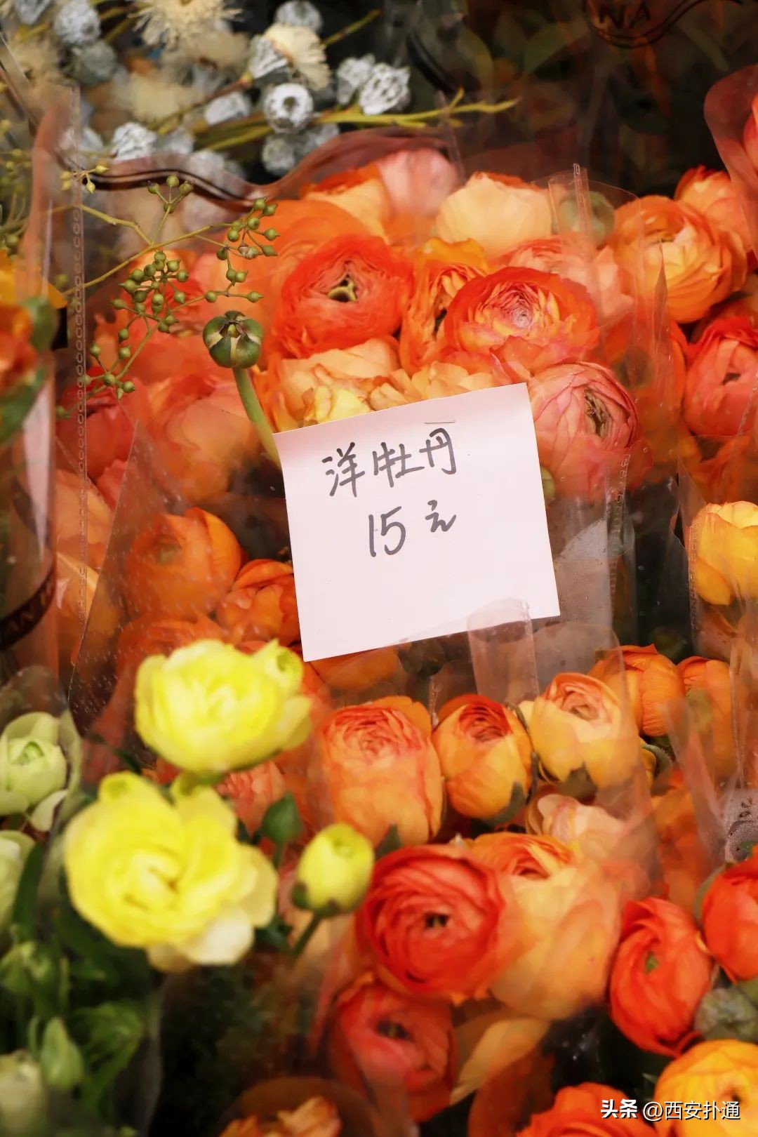 西安情人节去哪比较好,西安买花攻略