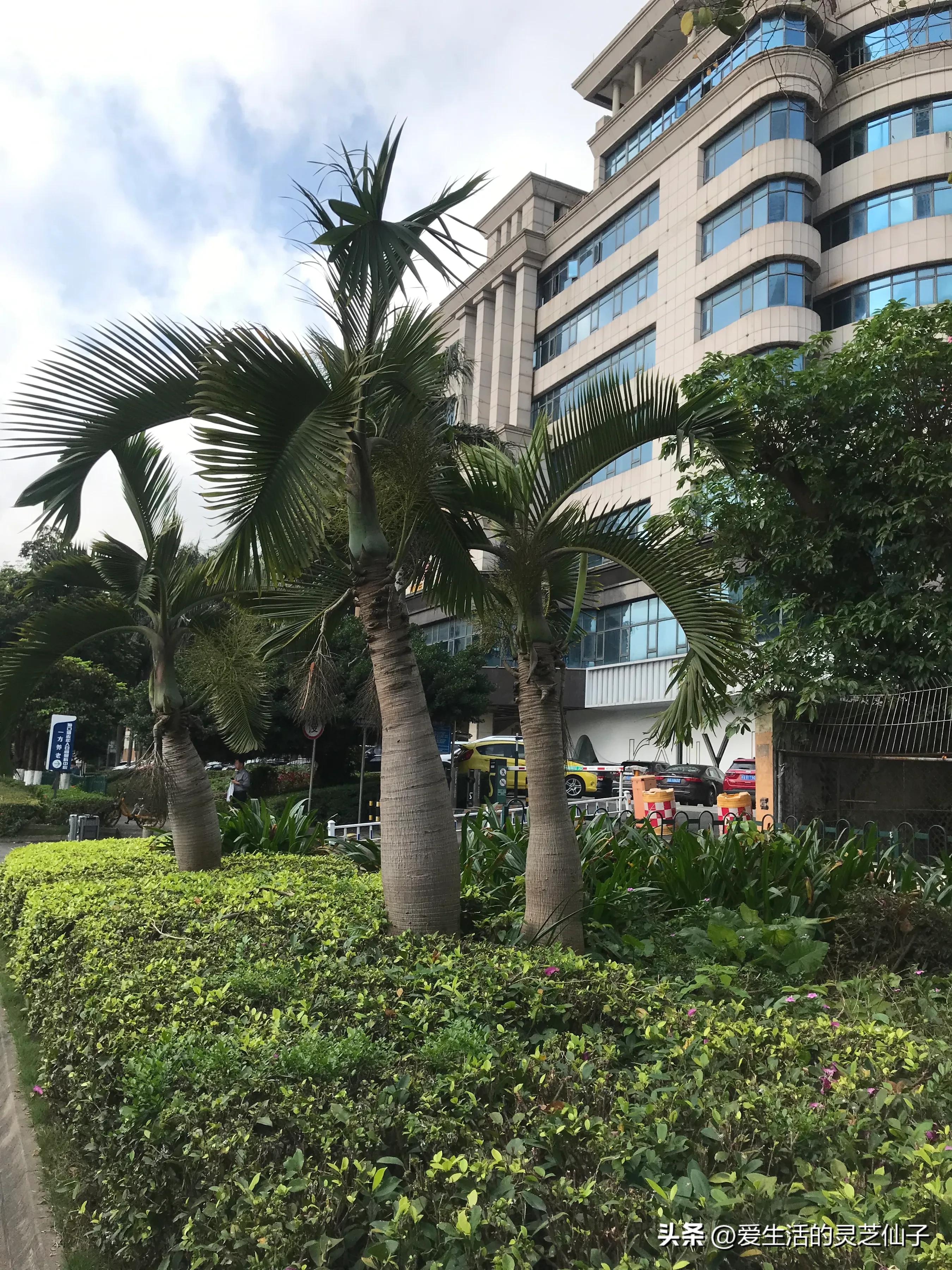 一个内陆人眼中的海南及海南人