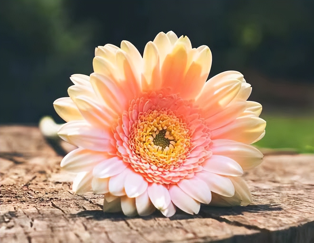 婚姻里什么才是女人的终极安全感,女人怎么样才能在婚姻里有安全感