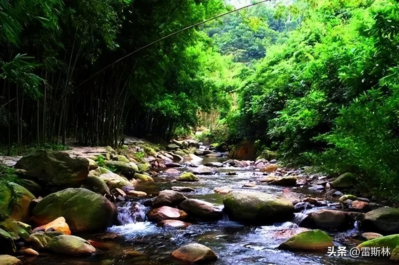 19年以前的大学生活,以前的大学生活是什么时候