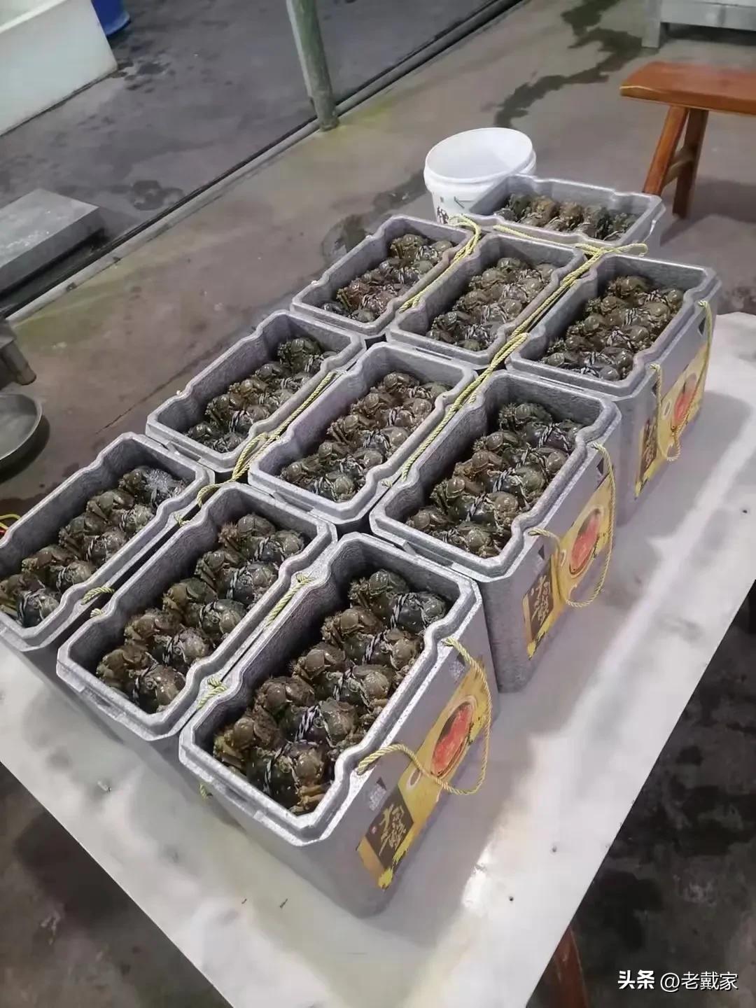 京东快递邮寄太慢怎么投诉,京东快递寄东西配送严重延迟