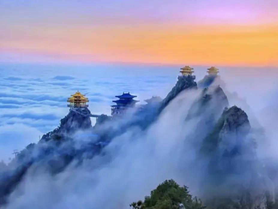 寄得纸间生碧色,一朝圆梦散风樯:梧桐院诗词第六期(七律·道)