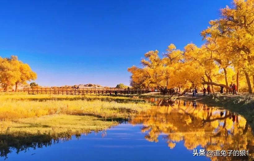 自欺欺人不可行——读孔老夫子逸诗评论有感