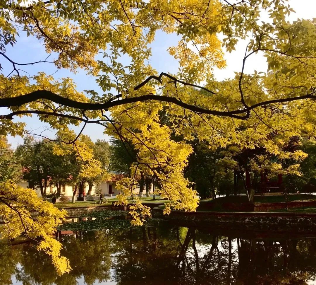 昆明小众打卡点,昆明小众适合孩子玩的地方