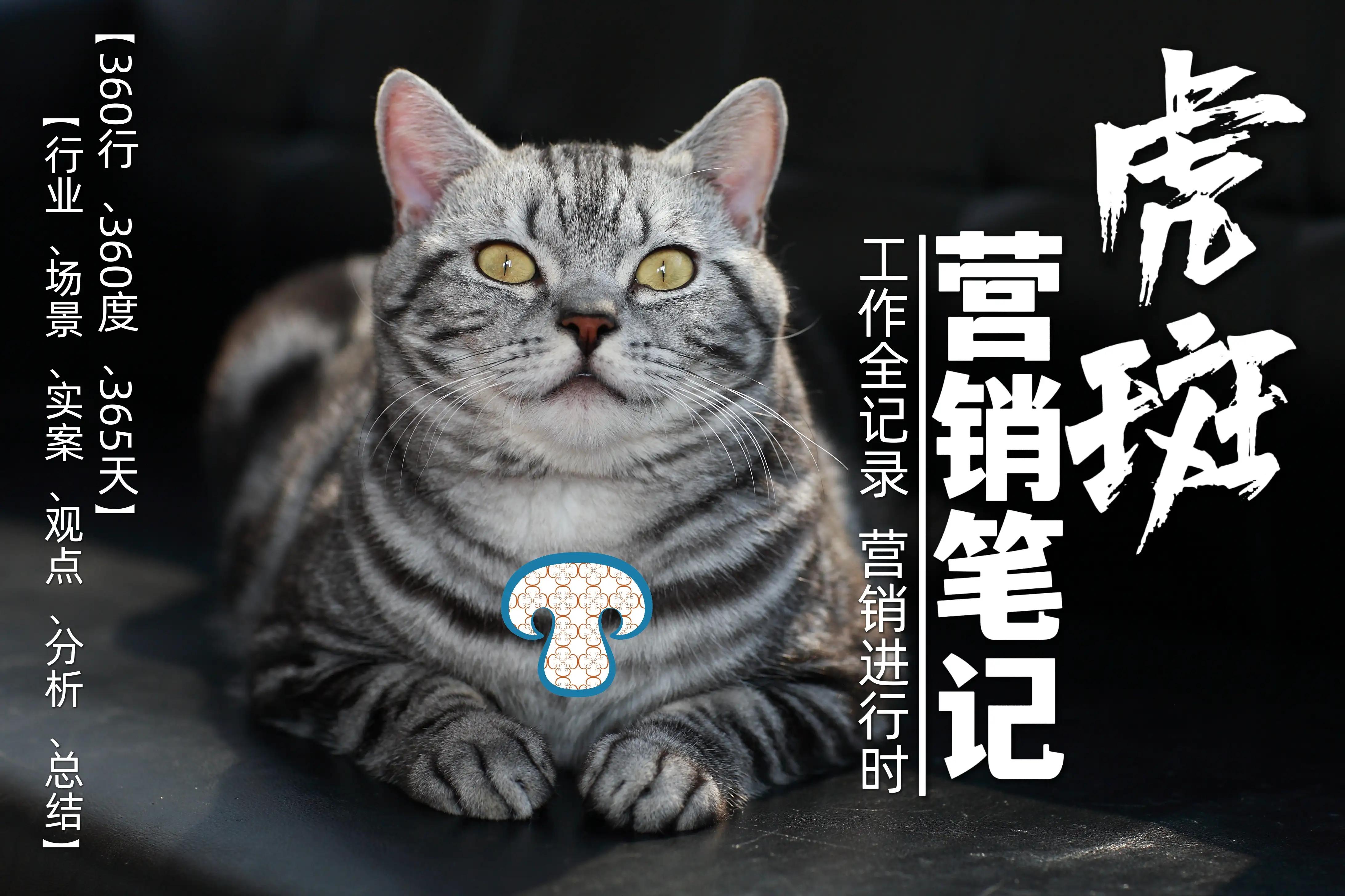 《虎斑营销笔记》第94页“代理的品牌如何规划市场营销”