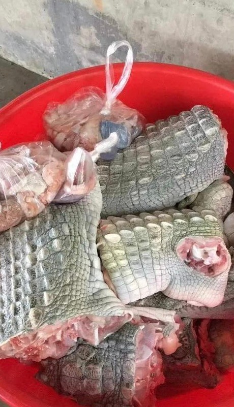 实拍老挝动物市场,老挝珍稀动物交易市场